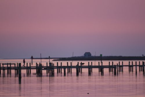 IMG 4651