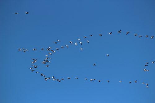 IMG 5324