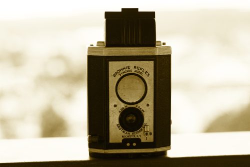 IMG 7873