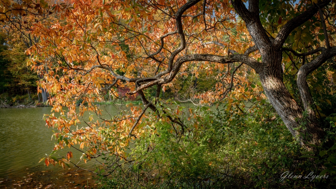 A quiet fall scene from Potato Creek State Park in Indiana.