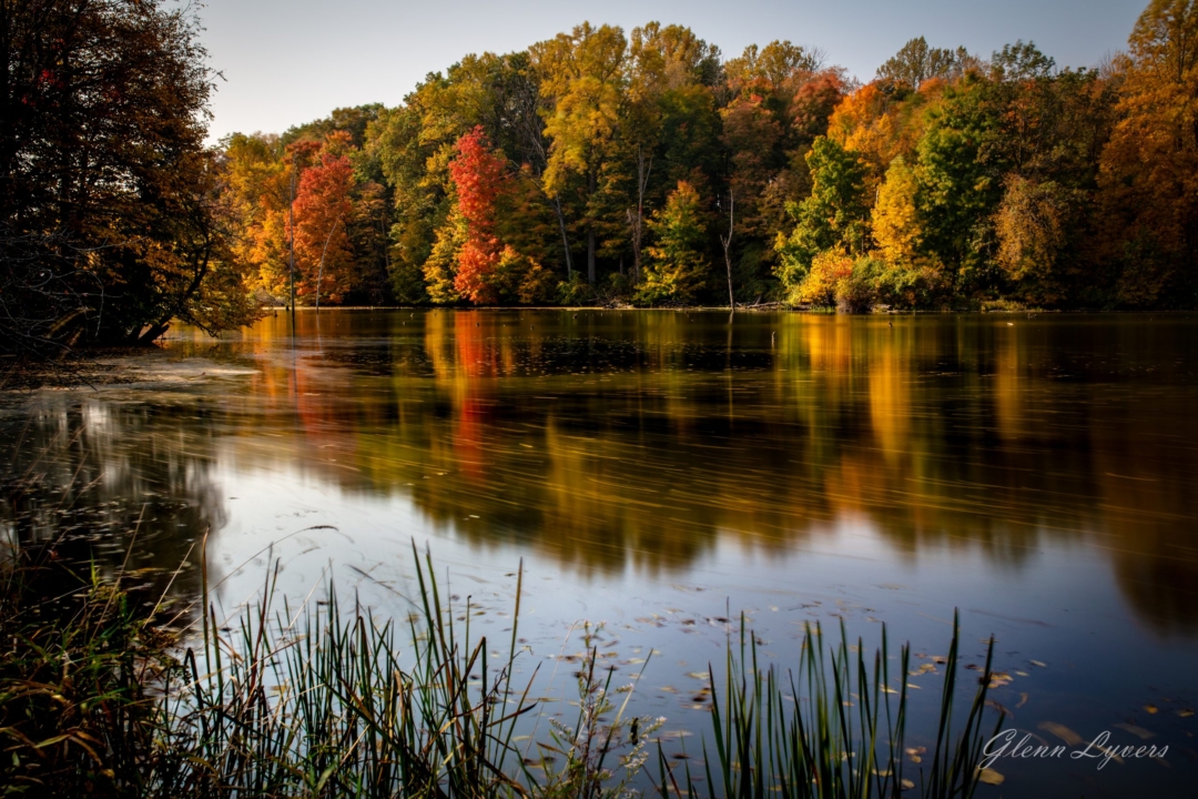 Fall Colors Reflected at Potato Creek State Park